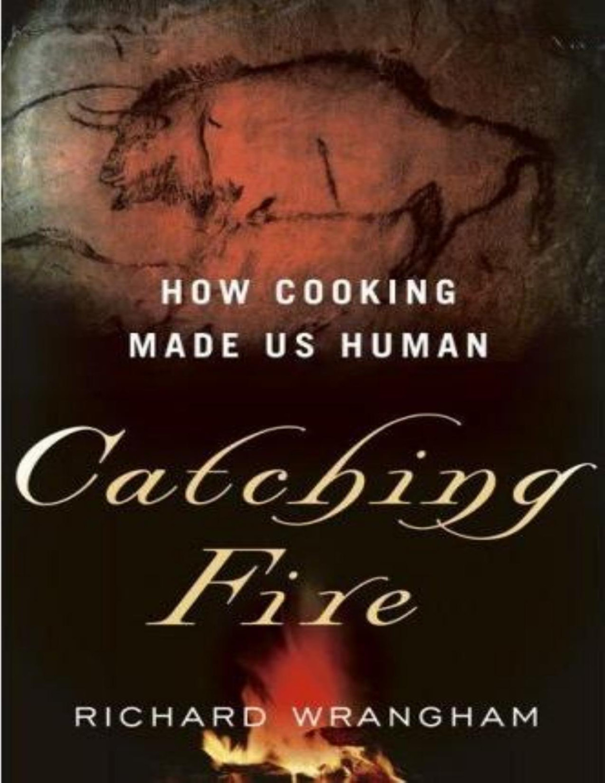 Catching Fire How Cooking Made Us Human Richard Wrangham