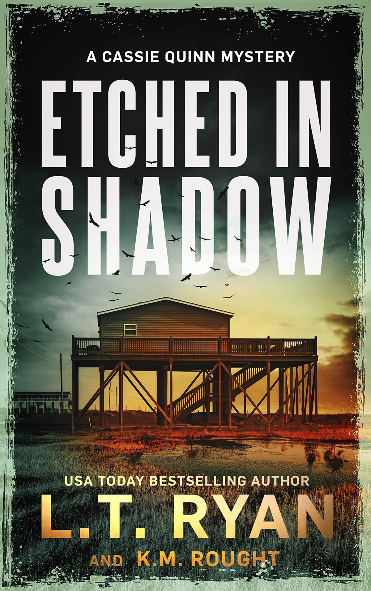 Etched In Shadow A Cassie Quinn Mystery Lt Ryan Km Rought