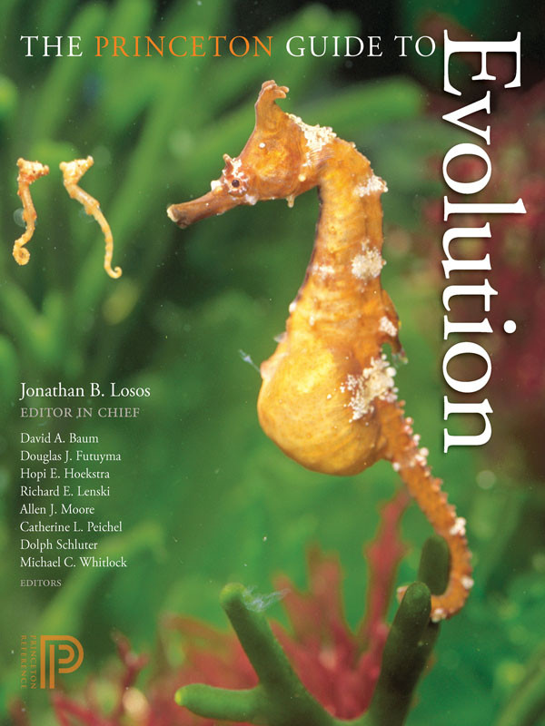 The Princeton Guide To Evolution Jonathan B Losos David A Baum Douglas J Futuyma Hopi E Hoekstra Richard E Lenski Allen J Moore Cahterine L Peichel Dolph Schluter Michael C Whitlock