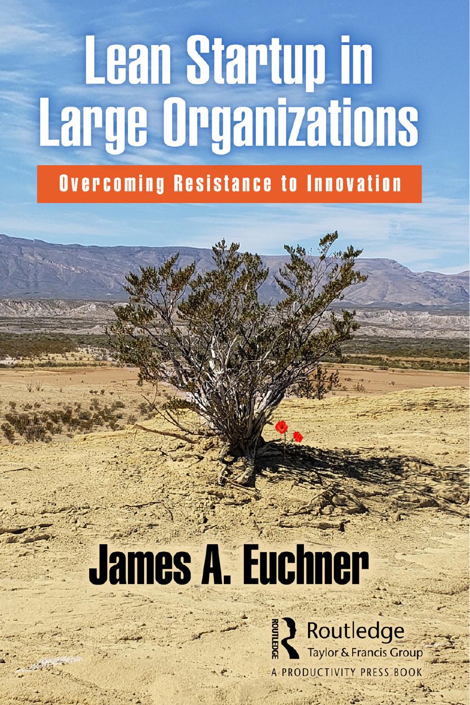 Lean Startup In Large Organizations Overcoming Resistance To Innovation James A Euchner