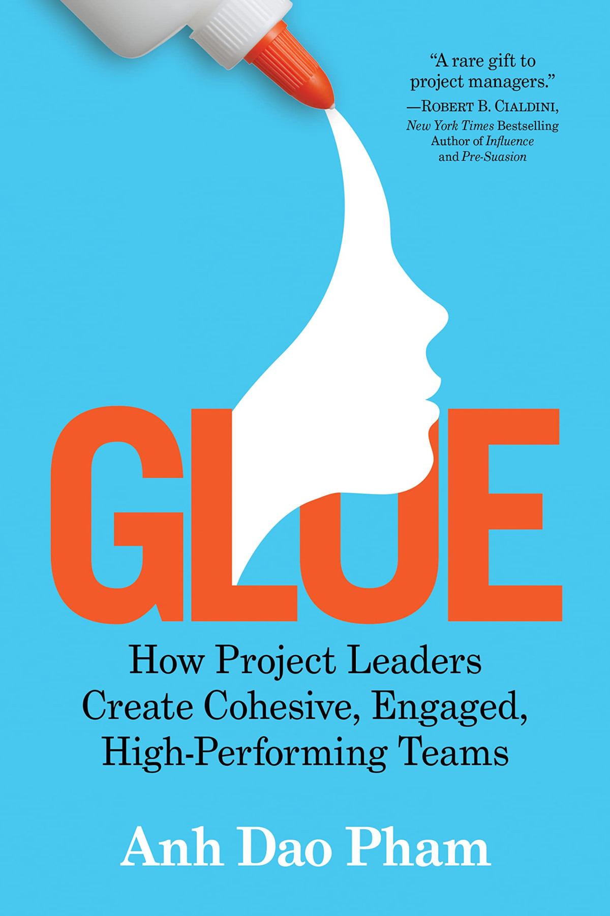 Glue How Project Leaders Create Cohesive Engaged Highperforming Teams Anh Dao Pham