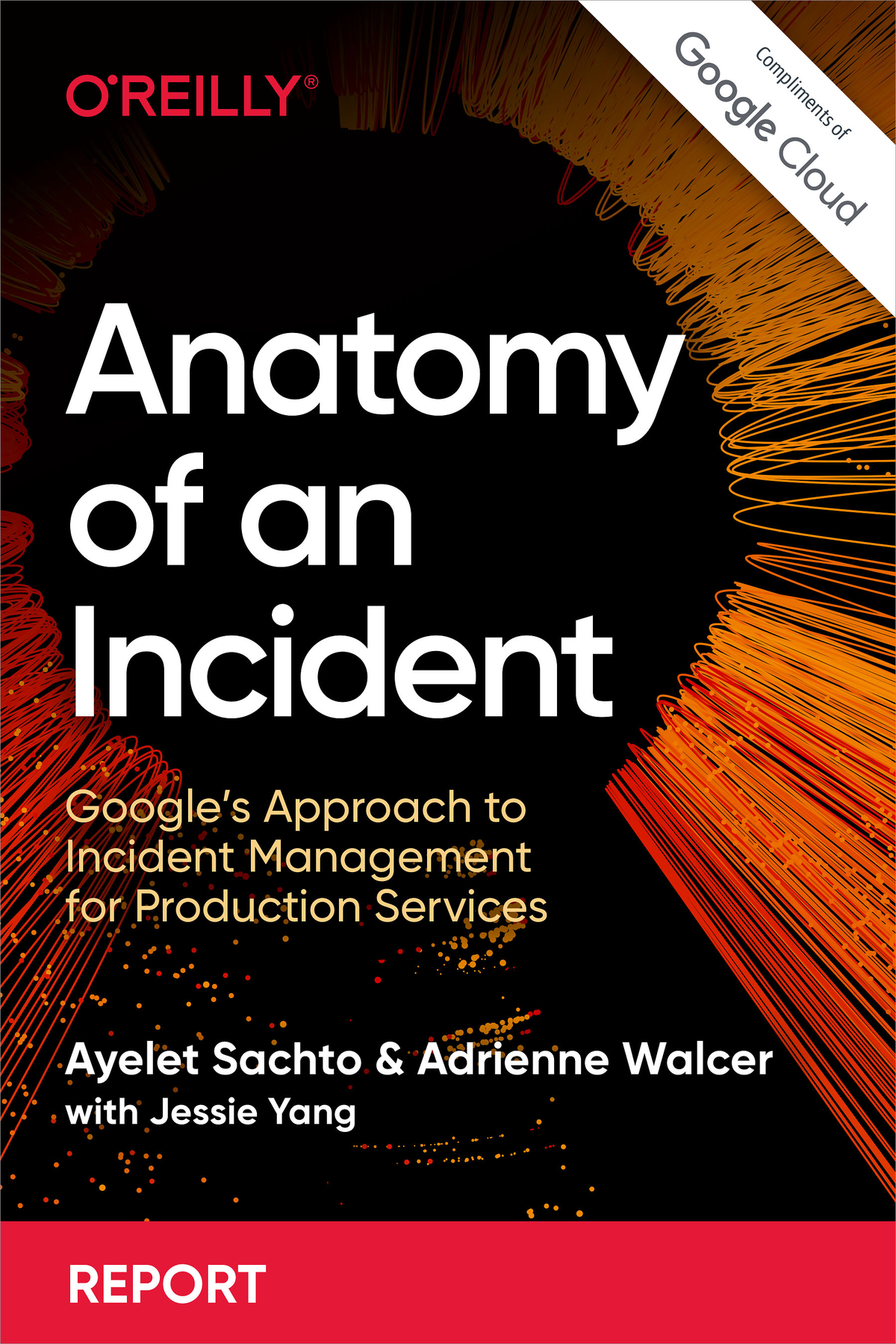 Anatomy Of An Incident Ayelet Sachto Adrienne Walcer