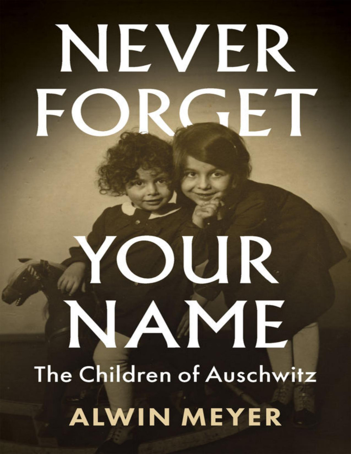 Never Forget Your Name Alwin Meyer