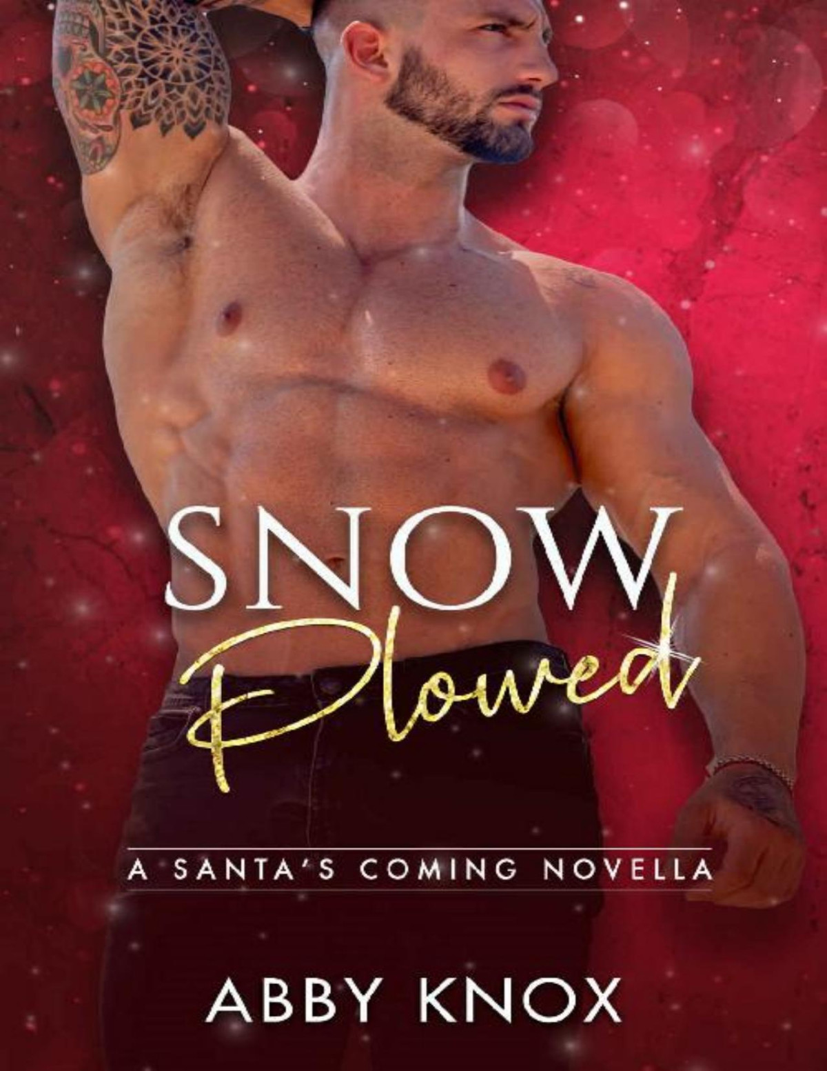 Snow Plowed Abby Knox