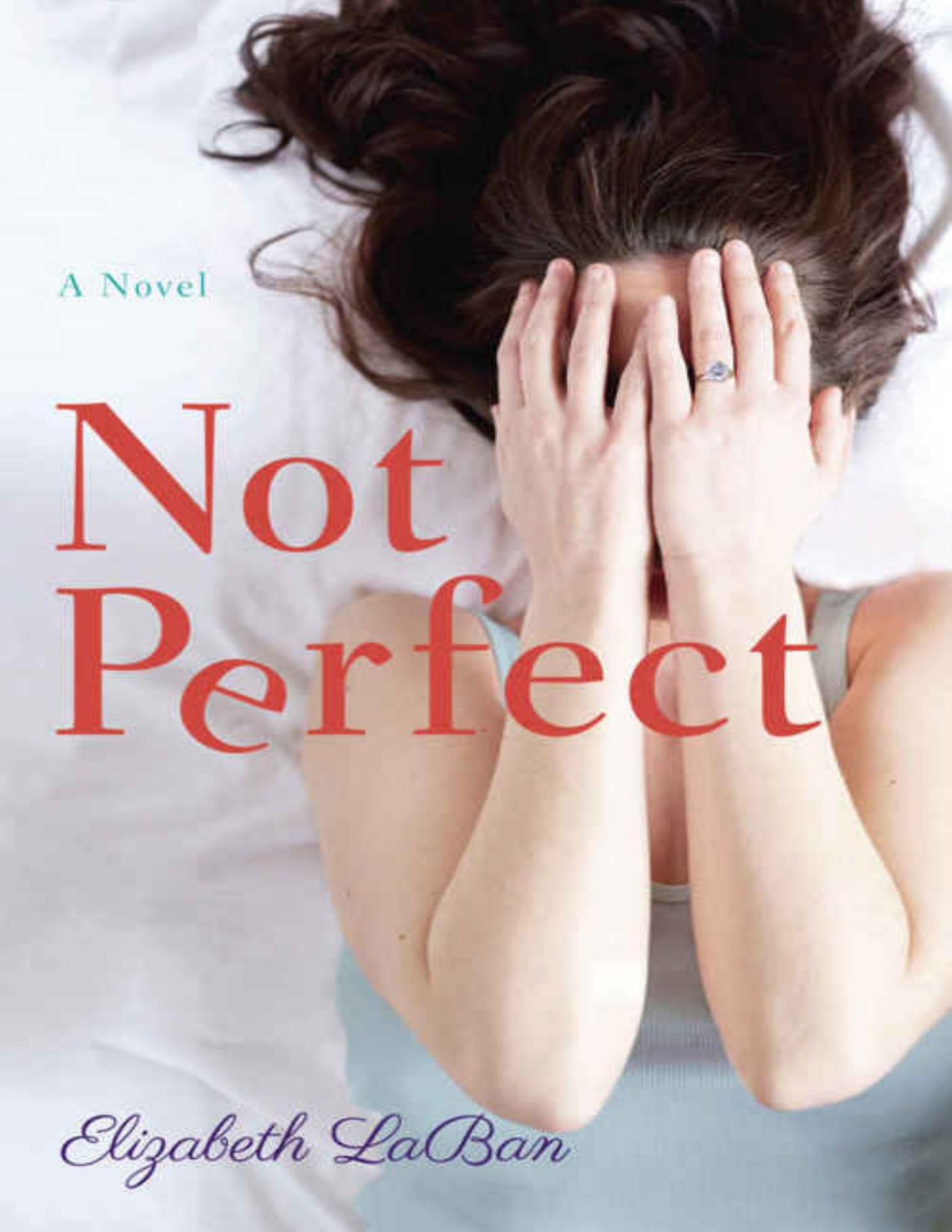Not Perfect A Novel Elizabeth Laban