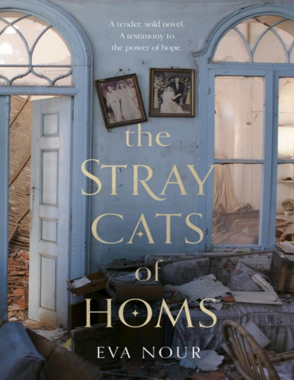 The Stray Cats Of Homs Eva Nour