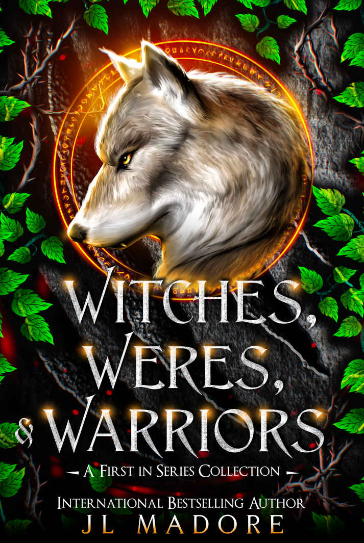 Witches Weres Warriors A Firstinseries Collection Jl Madore