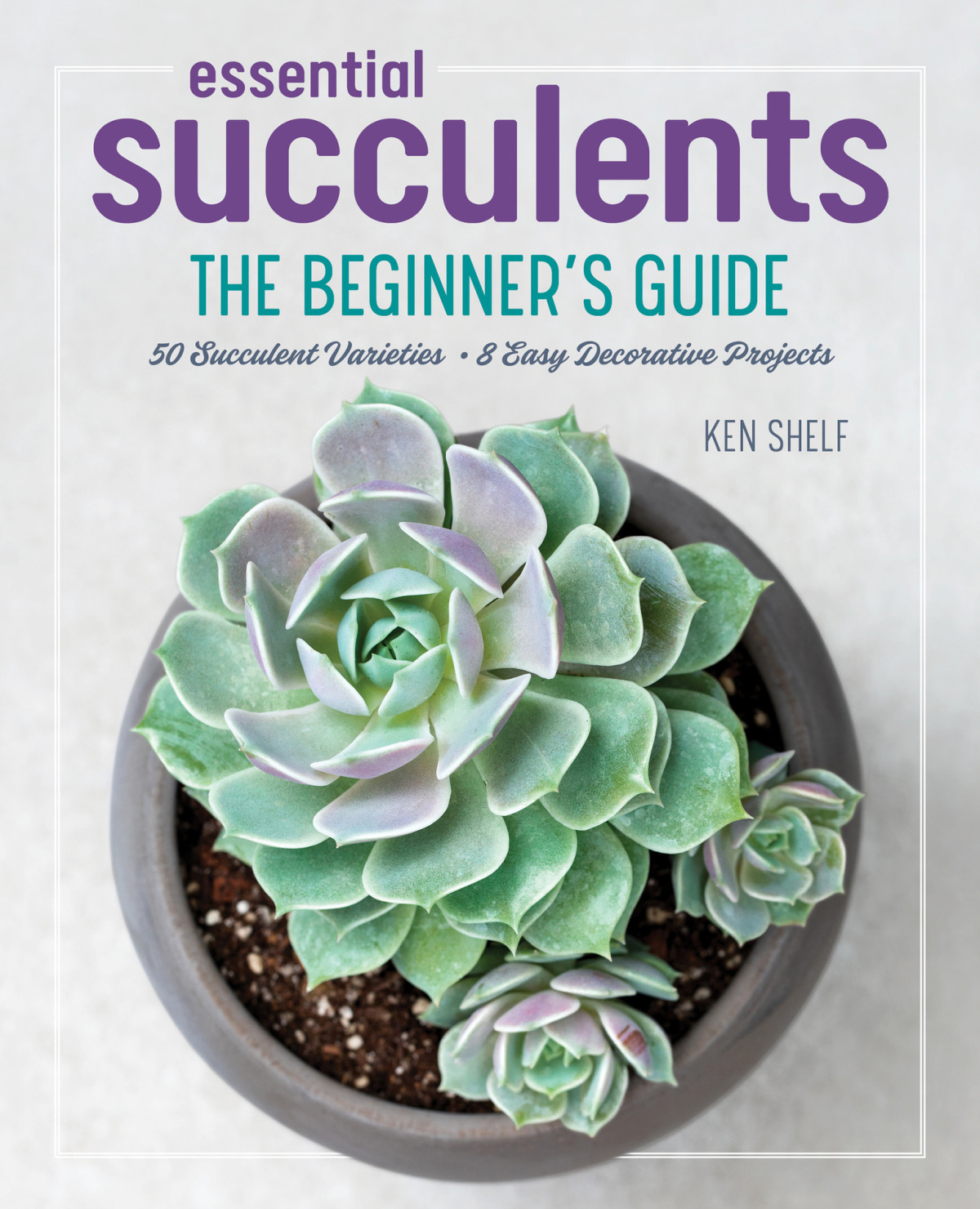 Essential Succulents The Beginners Guide Shelf Ken