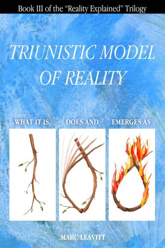 Triunistic Model Of Reality What It Is Does And Emerges As Marc Leavitt