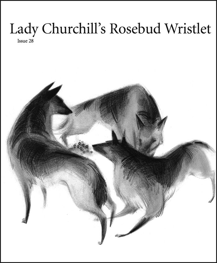 Lady Churchills Rosebud Wristlet 28 Edited By Gavin J Grant And Kelly Link
