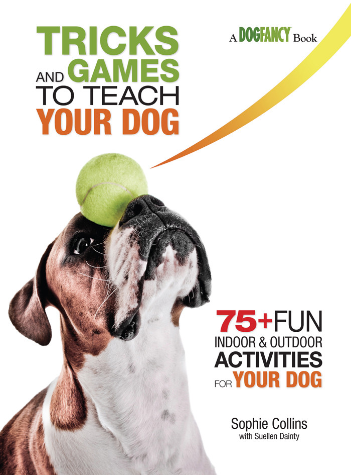 Tricks And Games To Teach Your Dog Sophie Collins