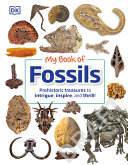 My Book Of Fossils A Factfilled Guide To Prehistoric Life Dorling Kindersley Ltd