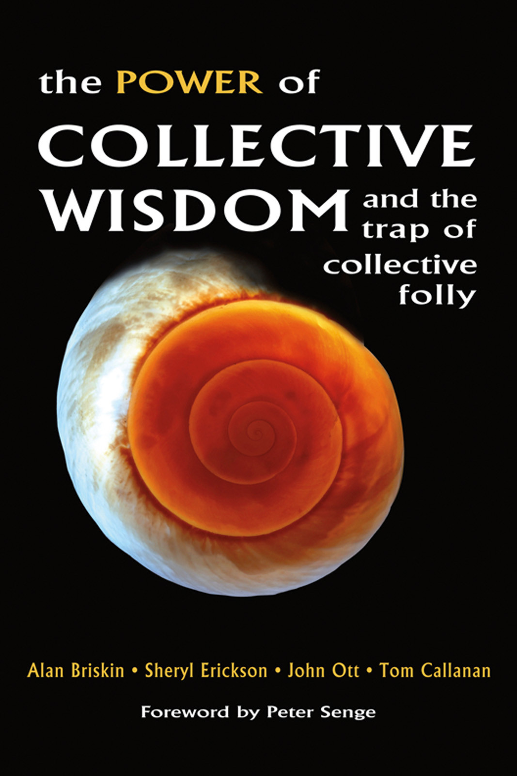 The Power Of Collective Wisdom Alan Briskin Sheryl Erickson John Ott Tom Callanan