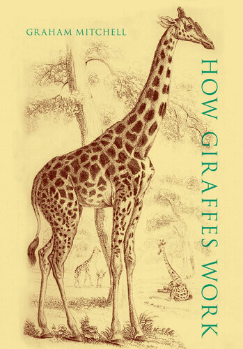 How Giraffes Work Graham Mitchell