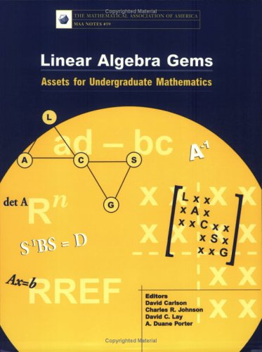 Linear Algebra Gems Assets For Undergraduate Mathematics 1st Edition Charles R Johnson Editor