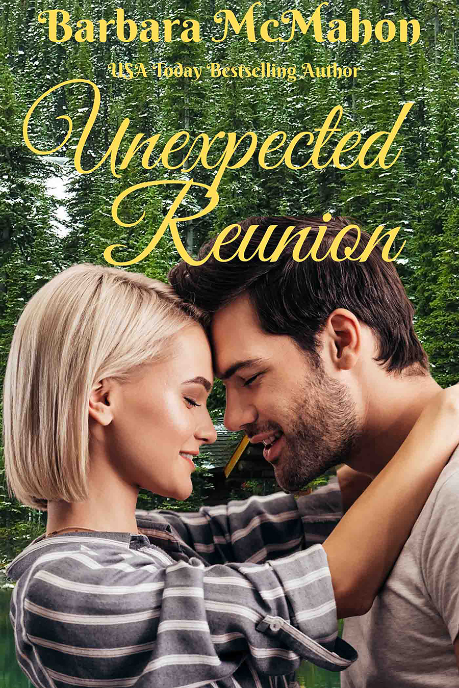 Unexpected Reunion Barbara Mcmahon