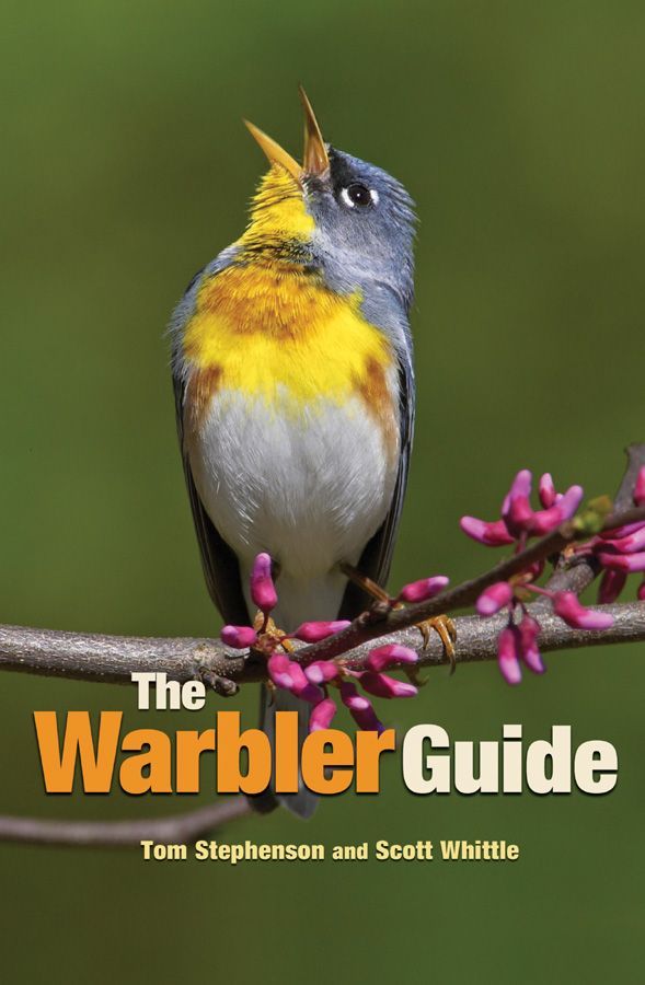 The Warbler Guide Tom Stephenson Scott Whittle