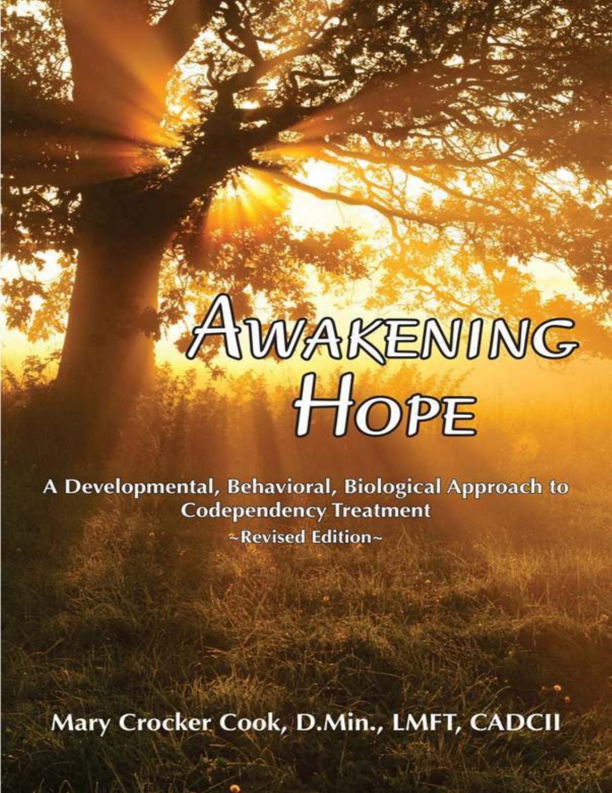 Awakening Hope A Developmental Behavioral Biological Approach To Codependency Treatment Rev First Ed 2012 Mary Crocker Cook