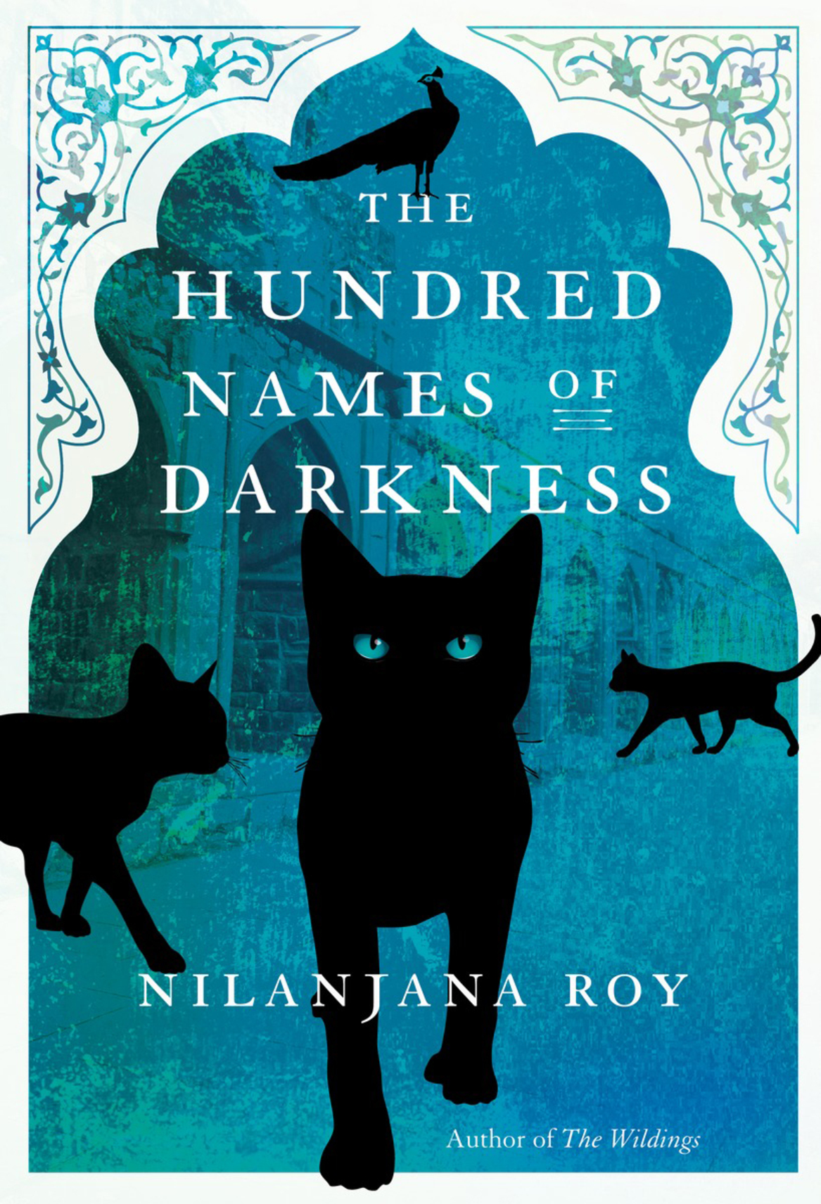 The Hundred Names Of Darkness Nilanjana Roy
