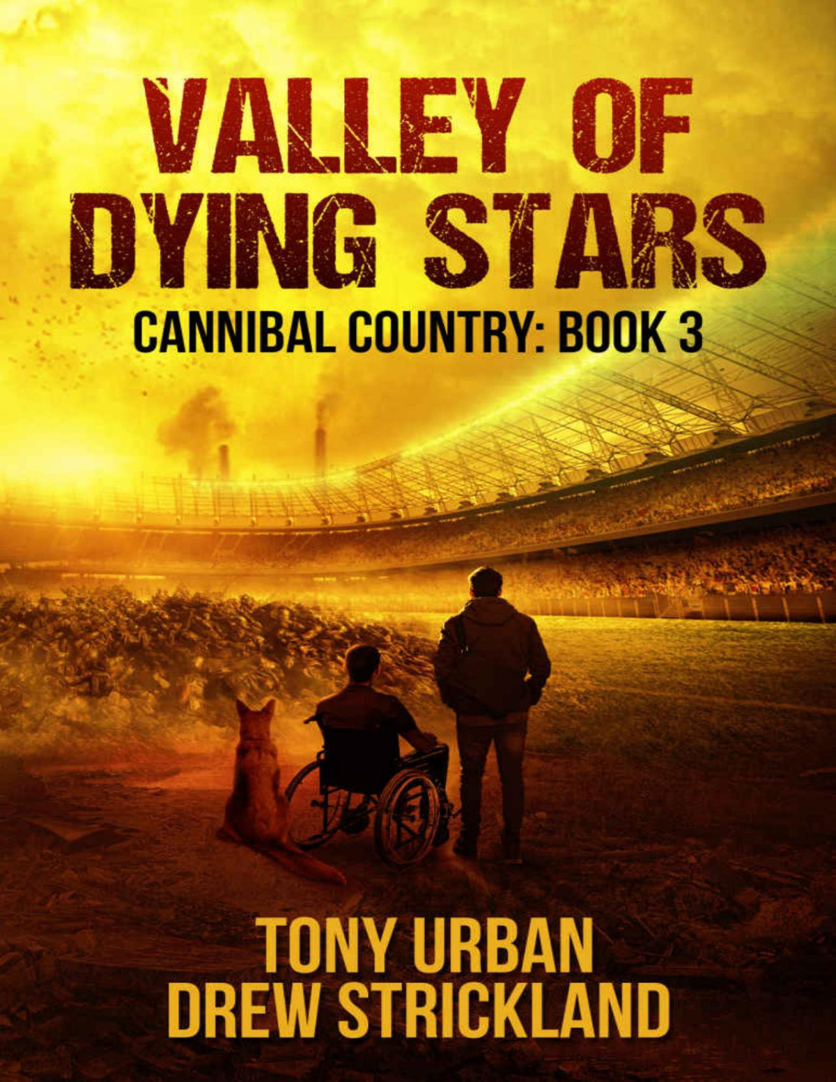 Valley Of Dying Stars A Post Apocalyptic Thriller Cannibal Country Book 3 Tony Urban Drew Strickland