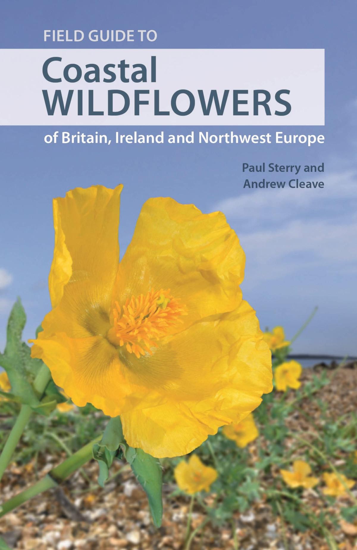Field Guide To Coastal Wildflowers Of Britain Ireland And Northwest Europe Paul Sterry