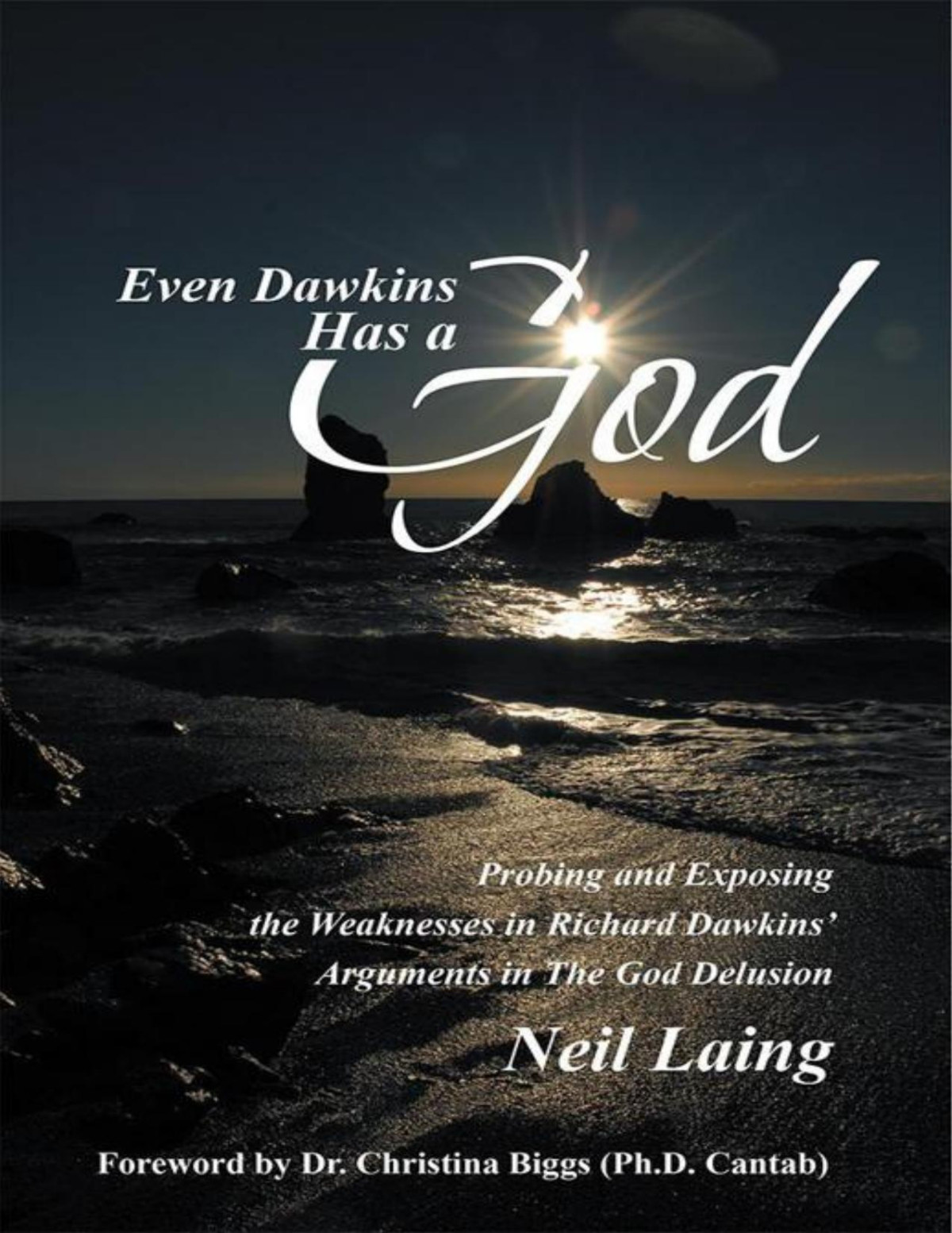 Even Dawkins Has A God Probing And Exposing The Weaknesses In Richard Dawkins Arguments In The God Delusion 1st Edition Neil Laing