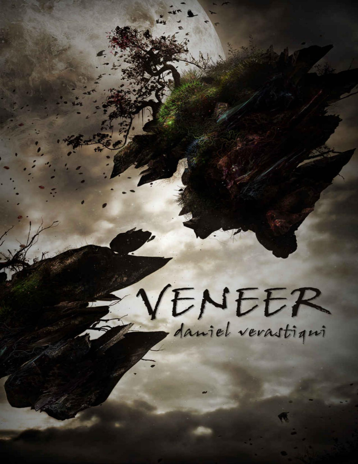 Veneer Daniel Verastiqui
