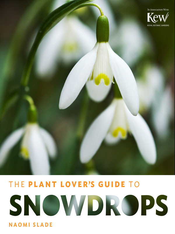 The Plant Lovers Guide To Snowdrops Naomi Slade