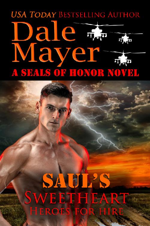 Sauls Sweetheart Heroes For Hire 8 Dale Mayer