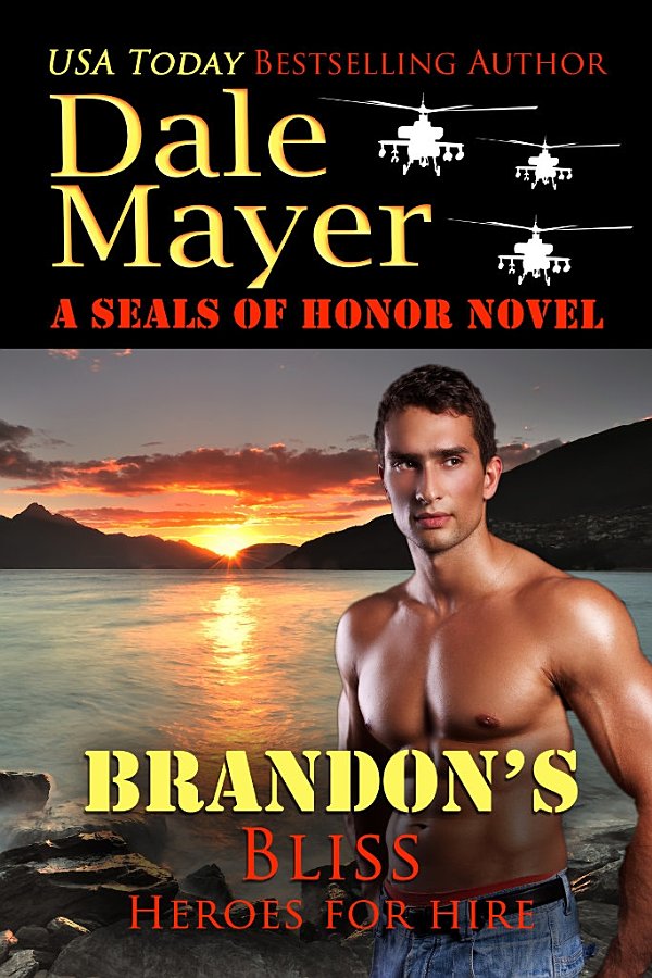 Brandons Bliss Heroes For Hire 13 Dale Mayer