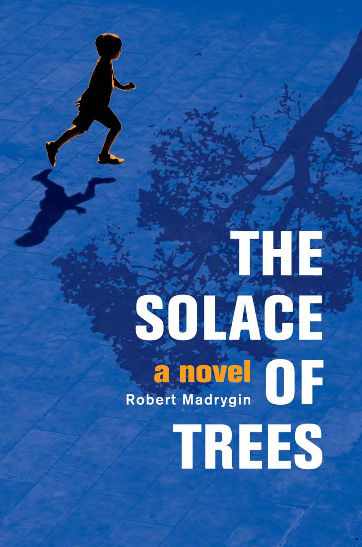 The Solace Of Trees Robert Madrygin