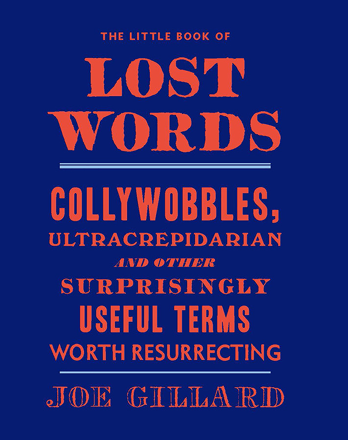 The Little Book Of Lost Words Joe Gillard