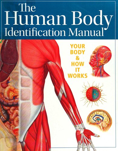 Human Body Identification Manual Your Body And How It Works Ken Ashwell