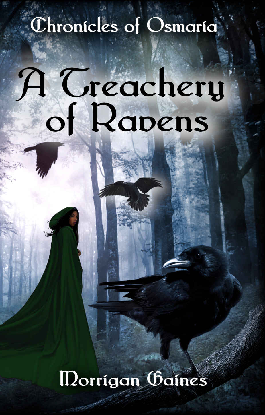 A Treachery Of Ravens Morrigan Gaines