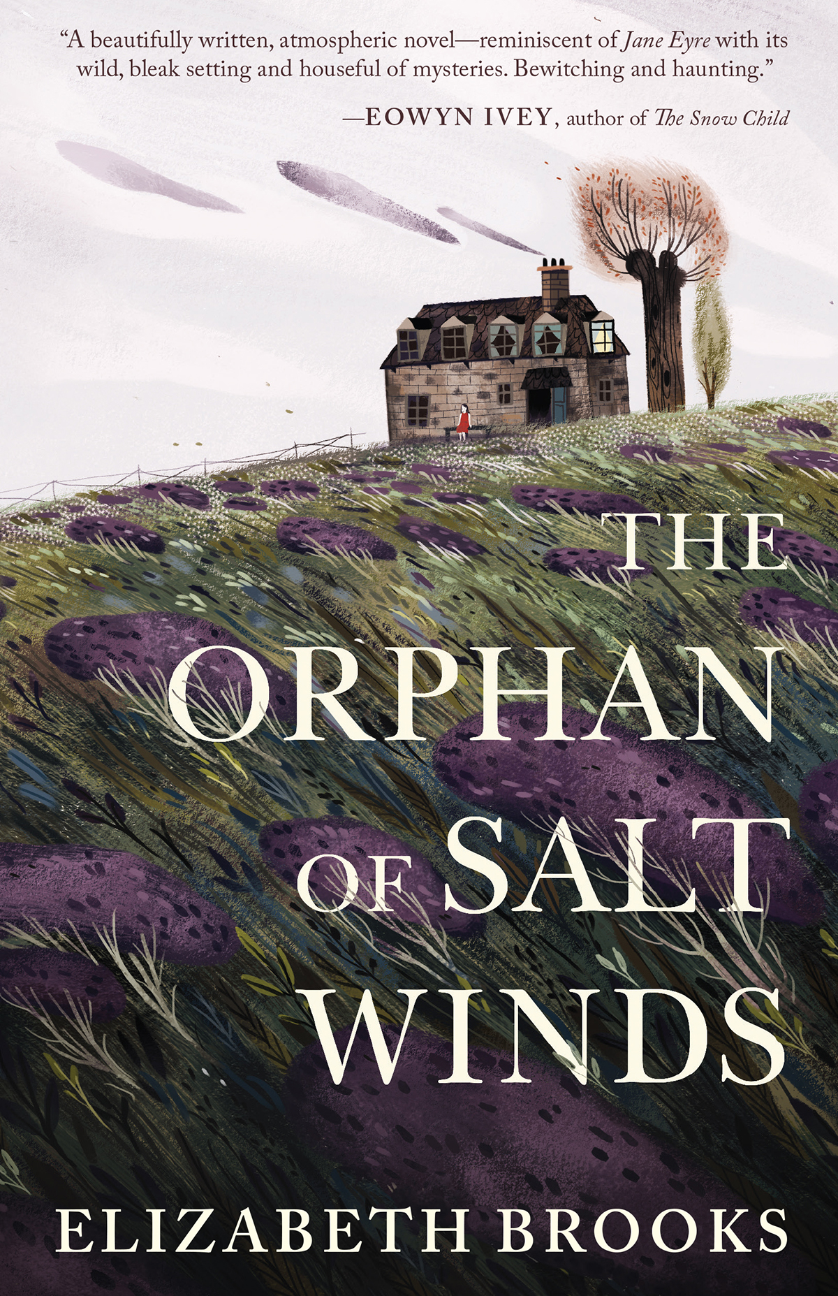 The Orphan Of Salt Winds Brooks Elizabeth