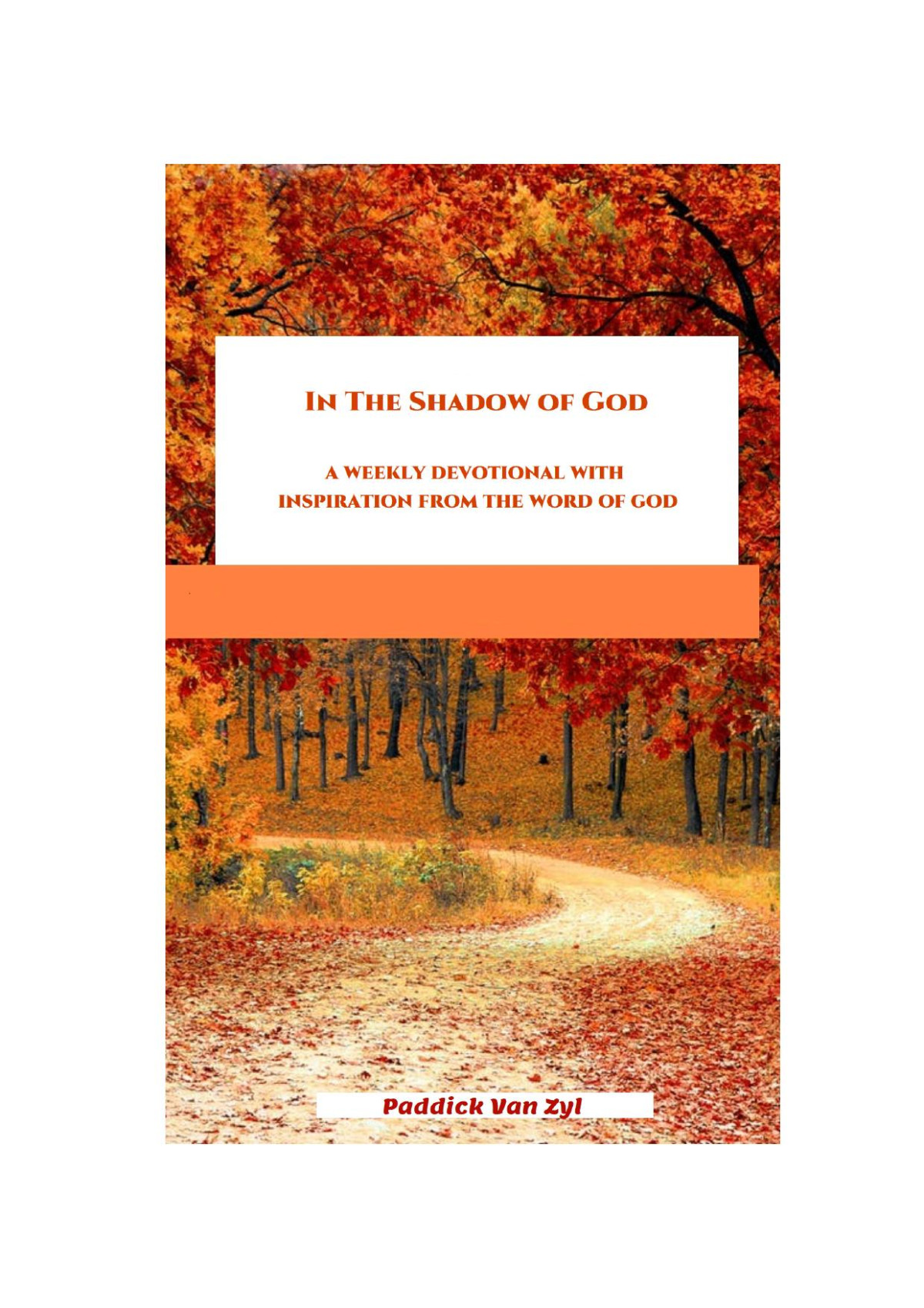 In The Shadow Of God Paddick Van Zyl