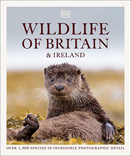 Wildlife Of Britain And Ireland Over 1400 Species In Incredible Photographic Detail Dk