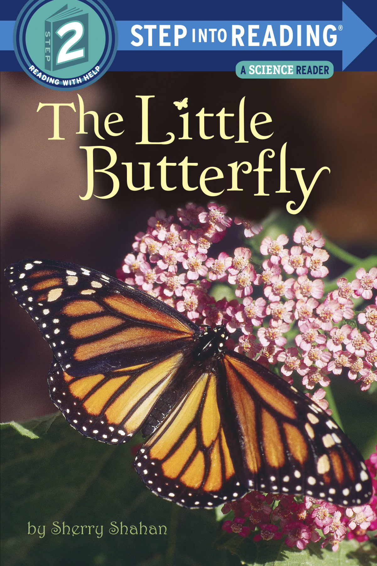The Little Butterfly Sherry Shahan