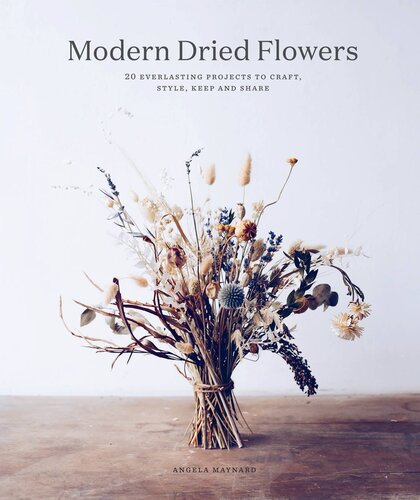 Modern Dried Flowers Angela Maynard