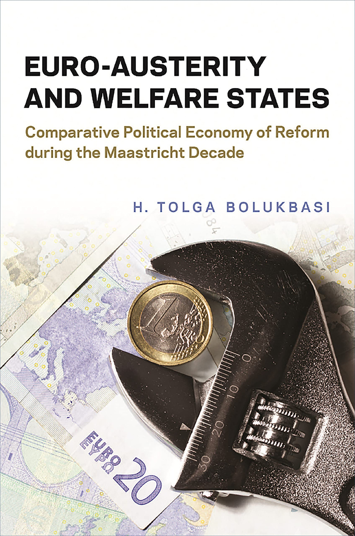 Euroausterity And Welfare States Comparative Political Economy Of Reform During The Maastricht Decade H Tolga Bolukbasi
