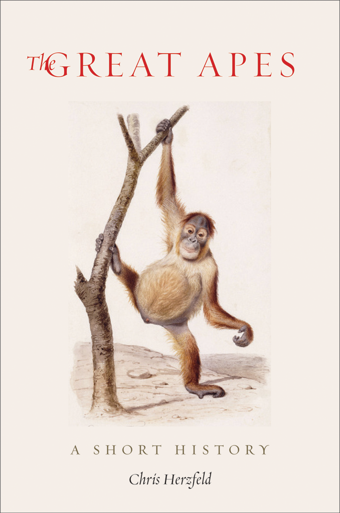 The Great Apes Chris Herzfeld