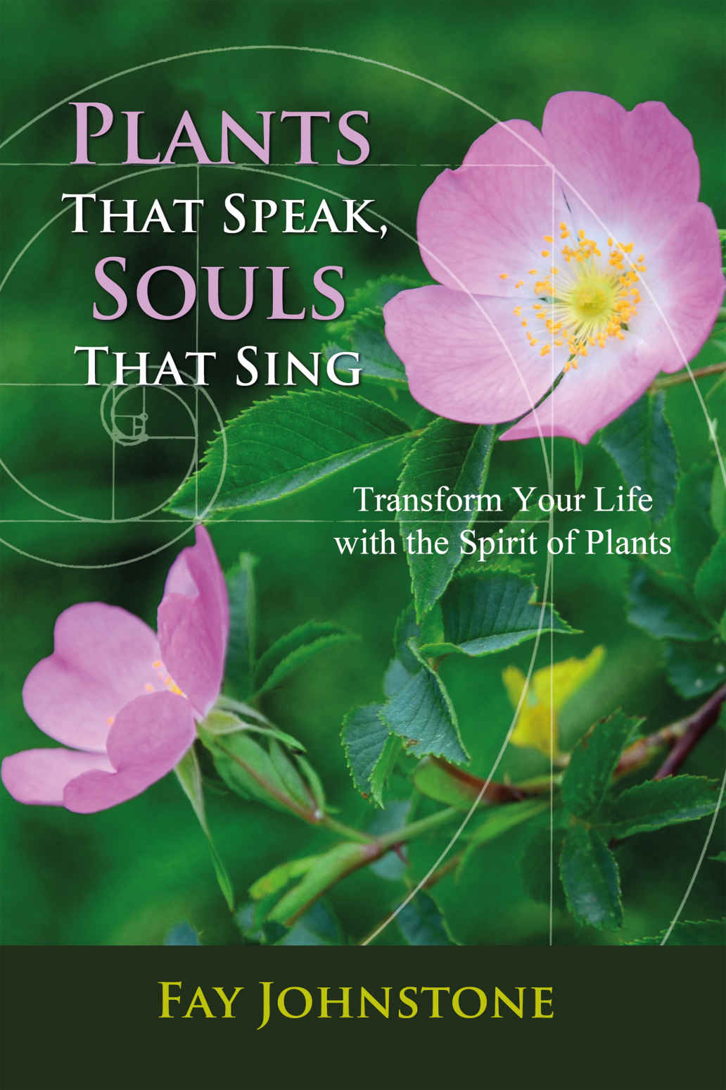 Plants That Speak Souls That Sing Transform Your Life With The Spirit Of Plants Fay Johnstone