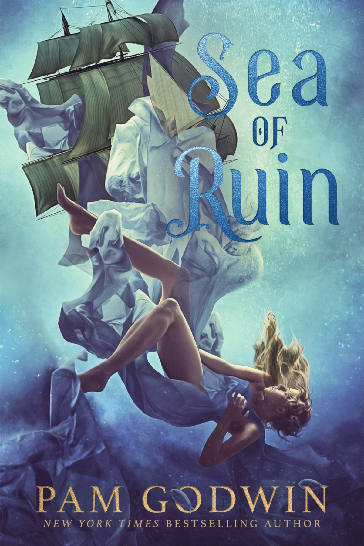 Sea Of Ruin Pam Godwin