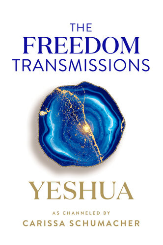 The Freedom Transmissions A Pathway To Peace 1st Edition Carissa Schumacher