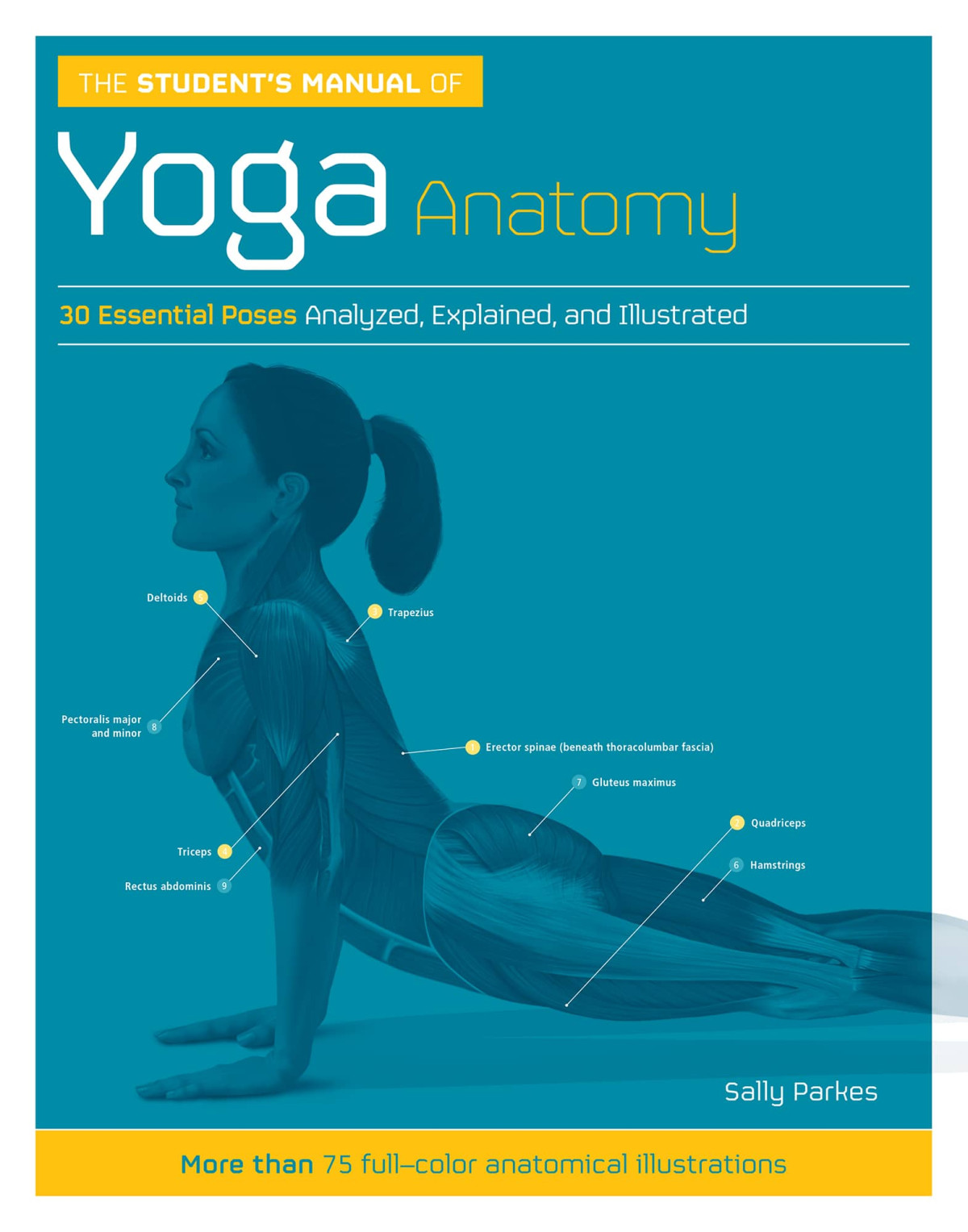 The Students Manual Of Yoga Anatomy Sally Parkes
