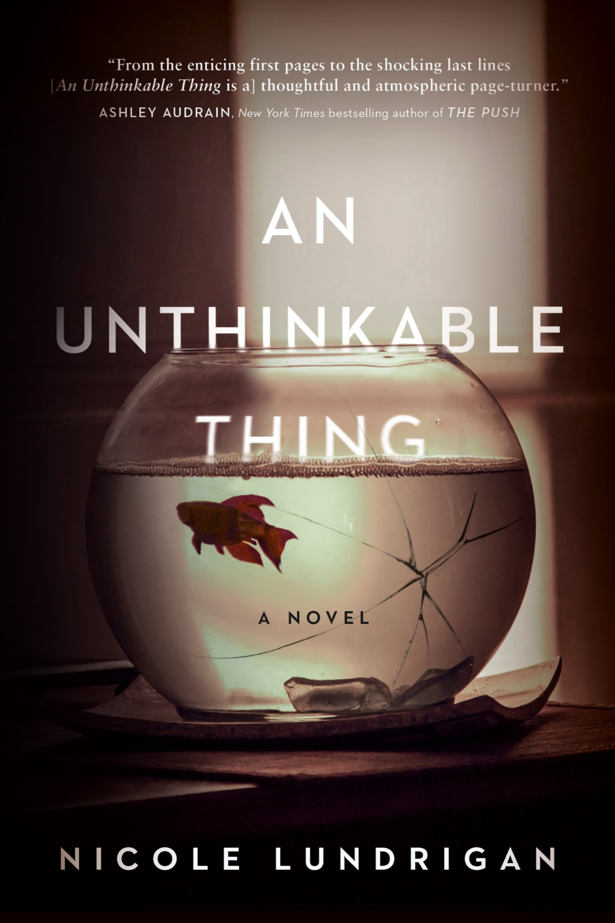 An Unthinkable Thing Nicole Lundrigan