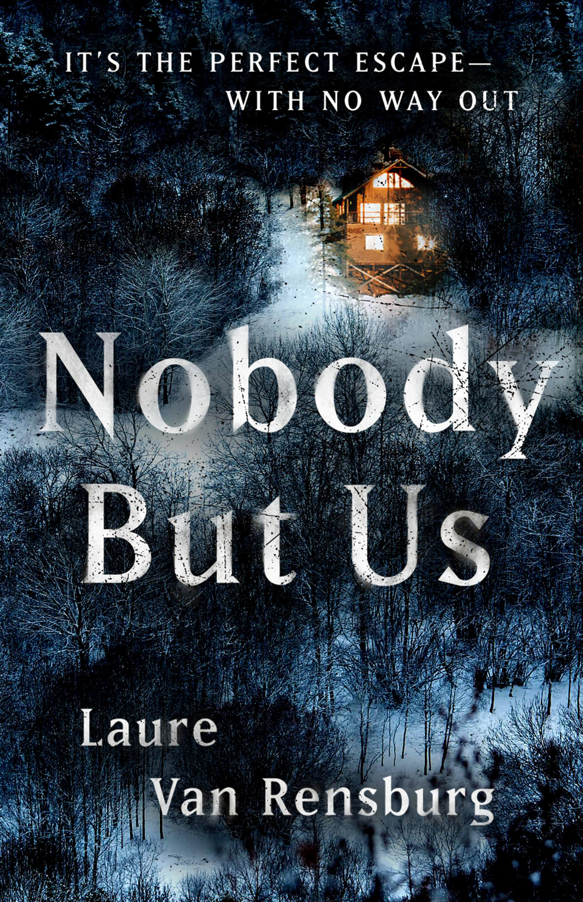 Nobody But Us Laure Van Rensburg
