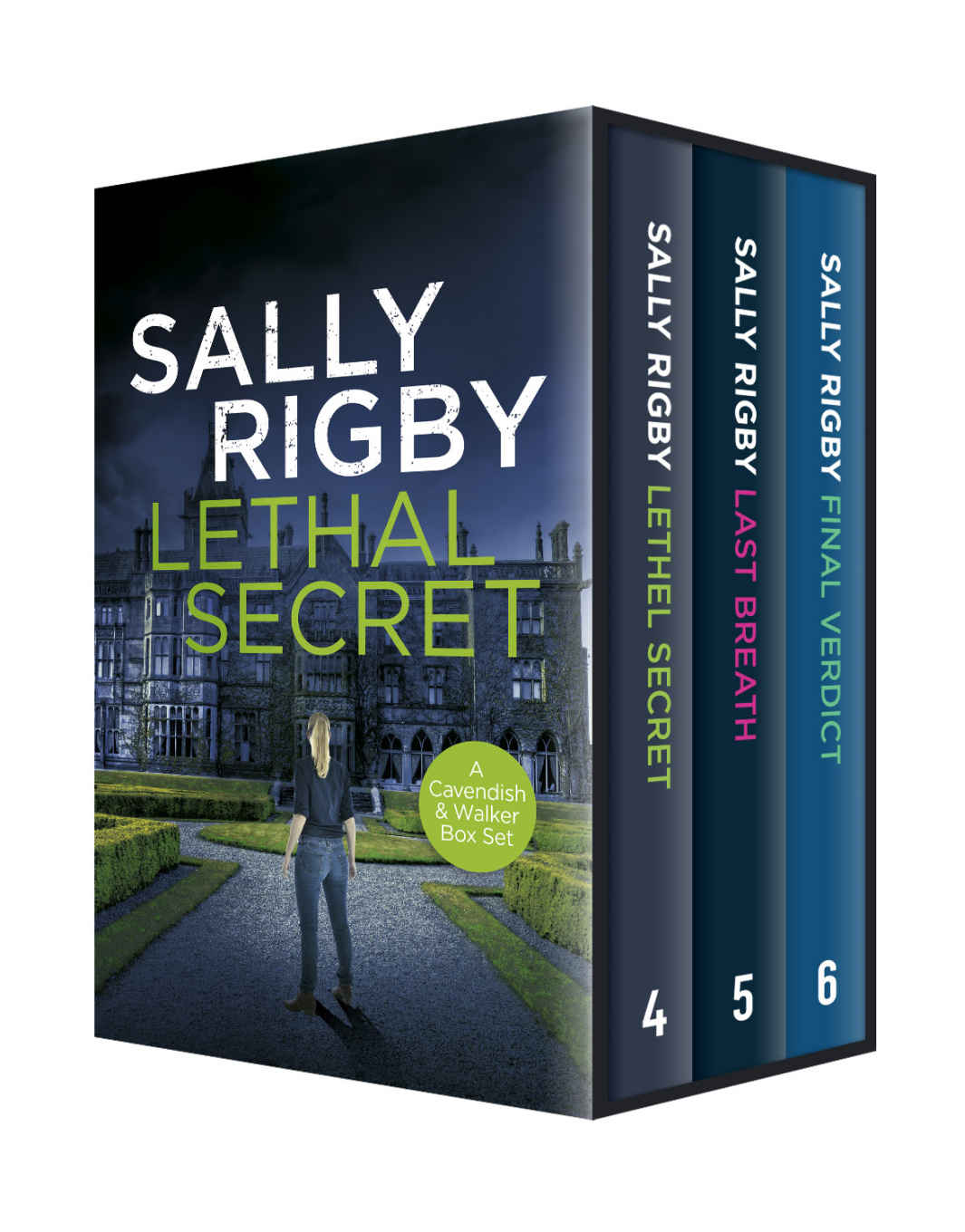 The Cavendish Walker Series Books 46 Sally Rigby