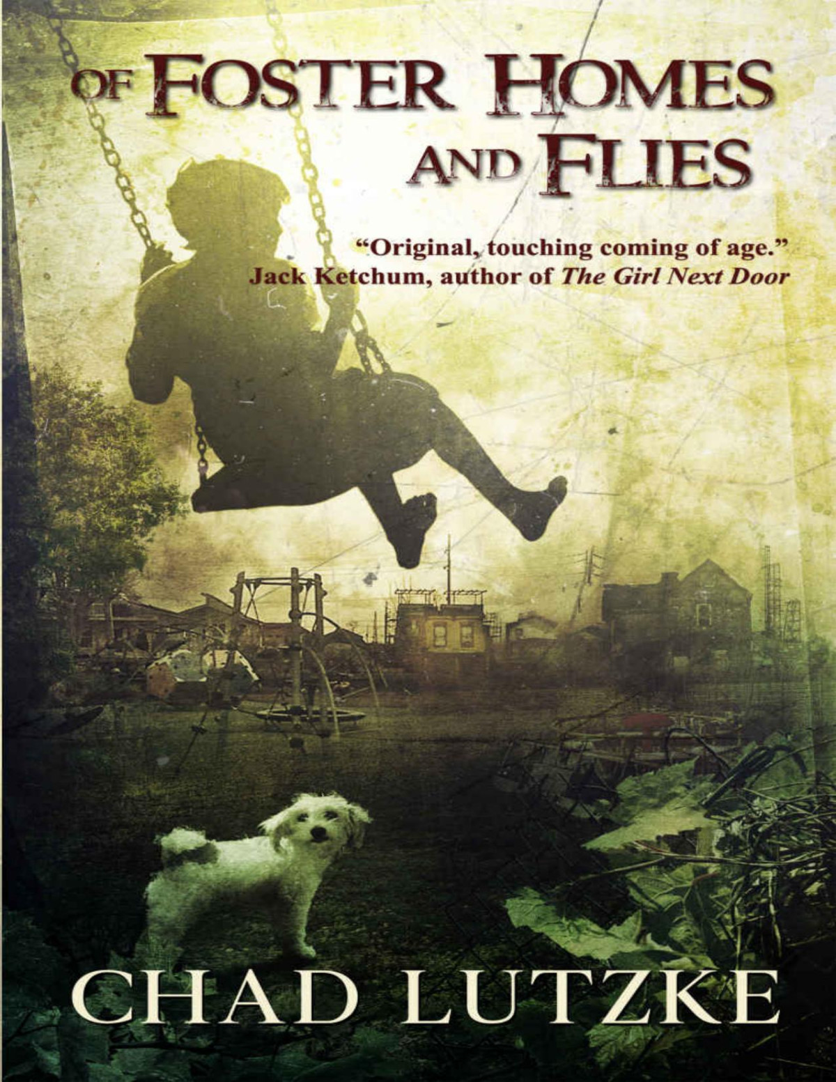 Of Foster Homes And Flies A Dark Coming Of Age Novella Chad Lutzke