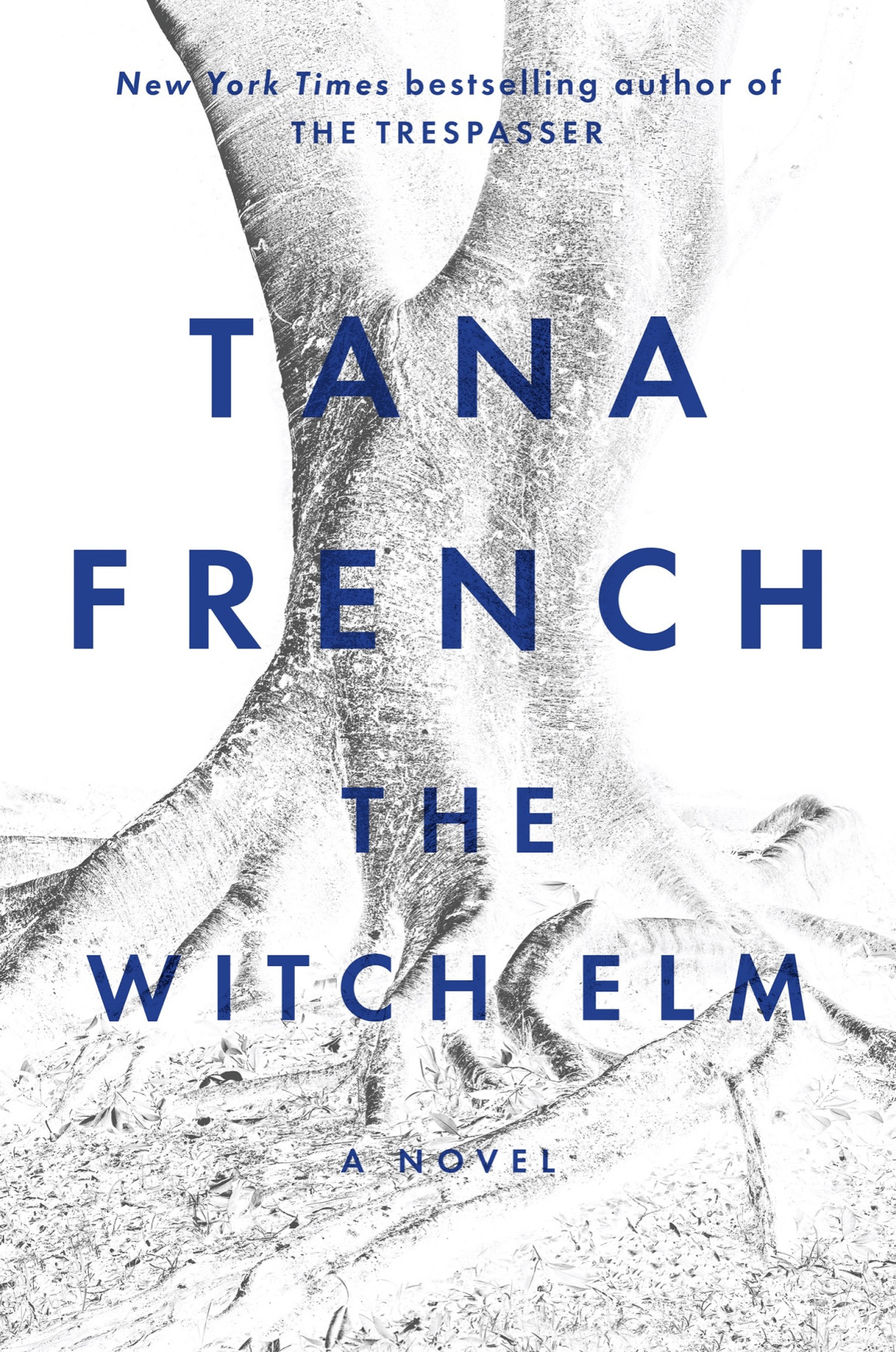 The Witch Elm Tana French